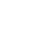 Presenter company logo