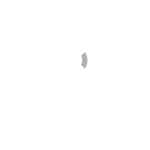 Presenter company logo