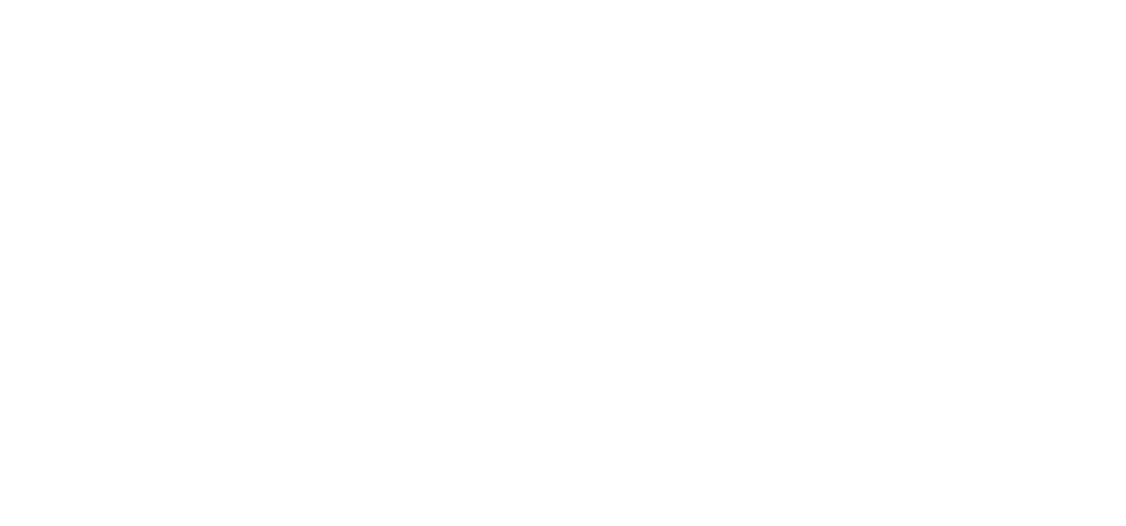 Presenter company logo