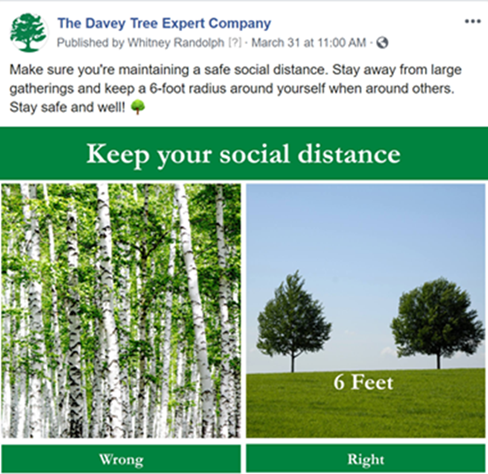 Davey tree social distancing