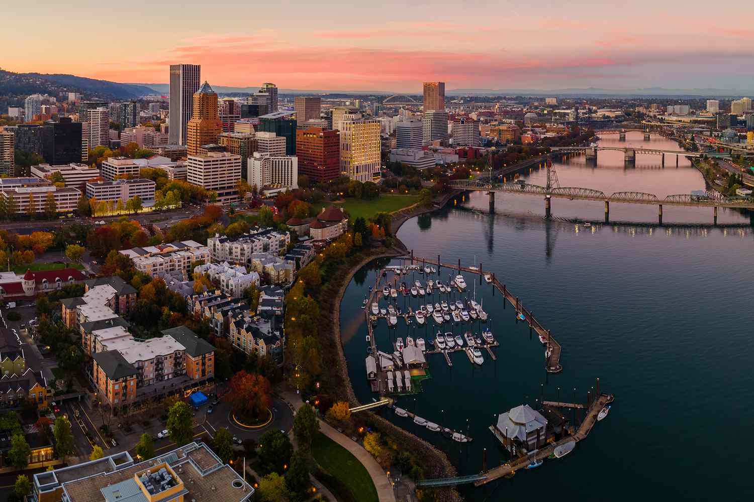 Portland Skyline